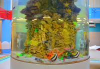 Чистка аквариумов магнитными щётками, Фото: 9