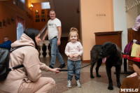 Выставка собак в Туле, Фото: 74