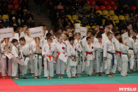 Чемпионат и первенство Тульской области по карате, Фото: 53