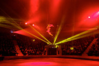 "Легенда": в тульском цирке – новая программа, Фото: 28