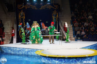 Цирк на воде «Остров сокровищ» в Туле: Здесь невозможное становится возможным, Фото: 51