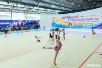 Тула провела крупный турнир по художественной гимнастике, Фото: 2