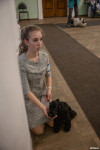 Выставка собак в Туле, Фото: 9