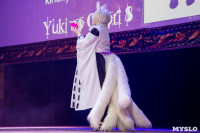Малефисенты, Белоснежки, Дедпулы и Ариэль: Аниме-фестиваль Yuki no Odori в Туле, Фото: 217