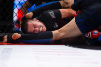 В «Тула-Арене» состоялись областные соревнования по ММА, Фото: 74