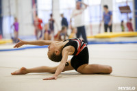 Спортивная гимнастика в Туле 3.12, Фото: 184