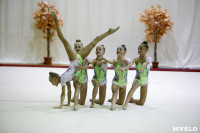 Соревнования по художественной гимнастике "Осенний вальс", Фото: 99
