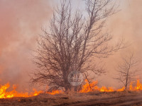В Федоровке огонь с горящего поля едва не перекинулся на дома, Фото: 9