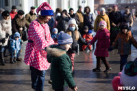 Масленица в кремле. 22.02.2015, Фото: 17