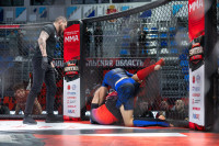 В «Тула-Арене» состоялись областные соревнования по ММА, Фото: 2