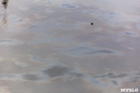 Маслянистые пятна на Упе. 15 февраля 2016 года, Фото: 2