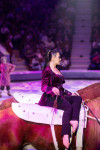Успейте посмотреть шоу «Новогодние приключения домовенка Кузи» в Тульском цирке, Фото: 73