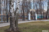 Посадка саженцев в Комсомольском парке, Фото: 3