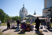 В Тульской области прошел фестиваль крапивы, Фото: 7