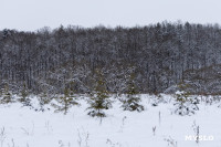 Зайцы на огромных сапах, Бабки-ёжки и индеец на каяке: почти 200 «идиотульцев» проплыли по Вашане, Фото: 43