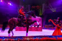 Цирковое шоу 5 континентов , Фото: 35