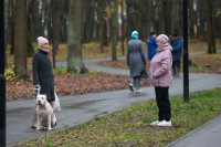 Сквер им. 30-летия ВЛКСМ в Новомосковске, Фото: 141