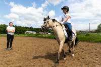 А пони тоже кони: 9-летняя тулячка – числе лучших в конном спорте по выездке, Фото: 19