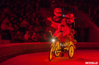 Туляков приглашают на новогоднее представление «Ёлка в цирке», Фото: 45