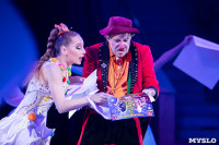 Премьера новогоднего шоу в Тульском цирке, Фото: 81