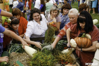 Праздник урожая в Новомосковске, Фото: 68