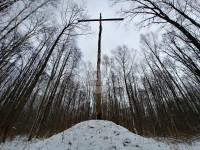 В Тульском лесу нашли загадочную поляну с крестами, елкой и зеркалами, Фото: 6