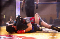 Турнир по ММА памяти Алексея Калинина собрал лучших бойцов страны: фоторепортаж, Фото: 59