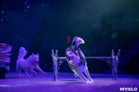 Шоу фонтанов «13 месяцев»: успей увидеть уникальную программу в Тульском цирке, Фото: 134