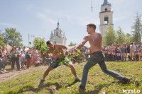 В Тульской области прошел фестиваль крапивы, Фото: 225