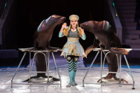 Успейте посмотреть шоу «Новогодние приключения домовенка Кузи» в Тульском цирке, Фото: 34