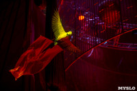 Шоу фонтанов «13 месяцев» в Тульском цирке – подарите себе и близким путевку в сказку!, Фото: 39