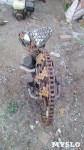 Железный хамелеон тульского умельца, Фото: 8