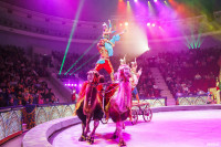 Шоу Гии Эрадзе «5 континентов» в Тульском цирке: феерия уже началась!, Фото: 34