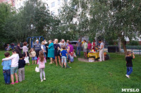 Праздник двора в Пролетарском районе, Фото: 11