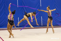 В Туле стартовало первенство Центрального федерального округа по художественной гимнастике, Фото: 98