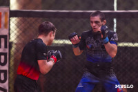 Турнир по ММА памяти Алексея Калинина собрал лучших бойцов страны: фоторепортаж, Фото: 160