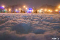 Зимняя сказка в Центральном парке, Фото: 14