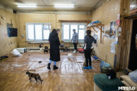 Волонтеры спасли кошек из адской квартиры, Фото: 24