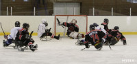 «Матч звезд» по следж-хоккею в Алексине, Фото: 20