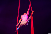 Выпускной бал в Тульском цирке, Фото: 167