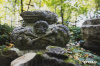 Всехсвятское кладбище, Фото: 186