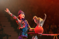 "Легенда": в тульском цирке – новая программа, Фото: 20