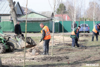 На ул. Чмутова в Туле высадили 50 кленов, Фото: 19