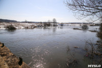 В Щекинском районе затопило мост, Фото: 12