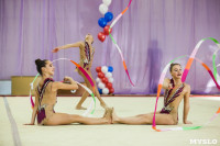 Всероссийские соревнования по художественной гимнастике на призы Посевиной, Фото: 91