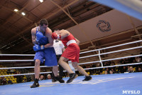 Финал турнира по боксу "Гран-при Тулы", Фото: 179