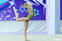 Тула провела крупный турнир по художественной гимнастике, Фото: 44