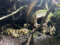 , Фото: 10