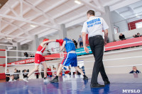 В Тульской области проходит областное первенство по боксу, Фото: 13