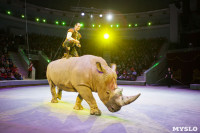 Туляков приглашают на новогоднее представление «Ёлка в цирке», Фото: 70